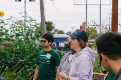 Community garden gathering among sunflowers