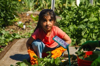 Girl among garden greens and marigolds