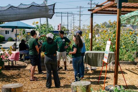 Neighbors gathered under the pergola among the sunflowers