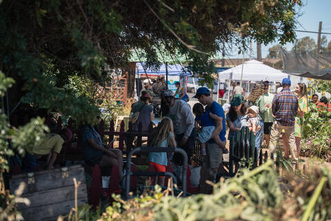 Crowd under the trees at Sips and Scents