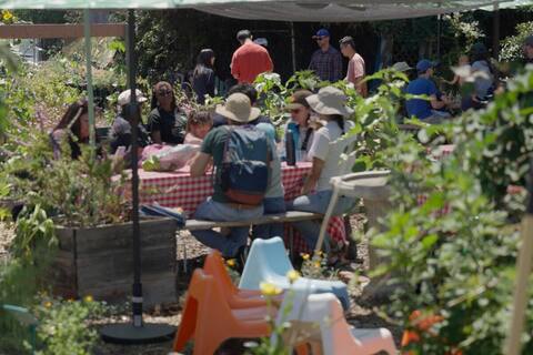 Picnic table under the green umbrella beside the raised beds