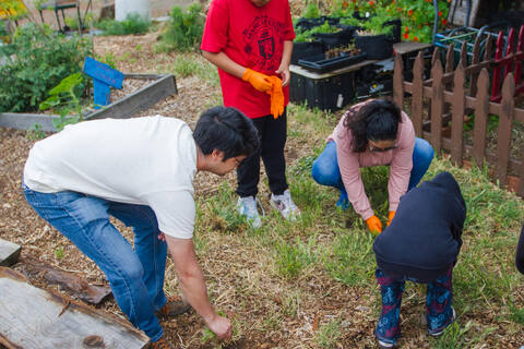 Volunteers of all ages weeding a wood-chip garden bed