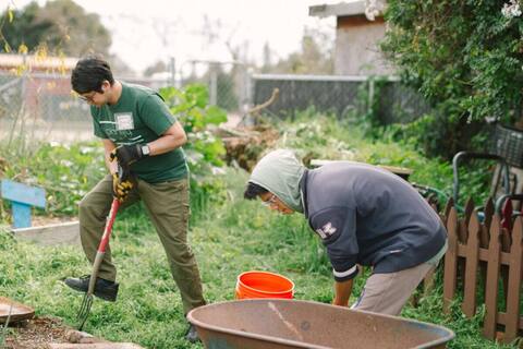 Two gardeners with a cultivator and wheelbarrow clearing a grassy plot